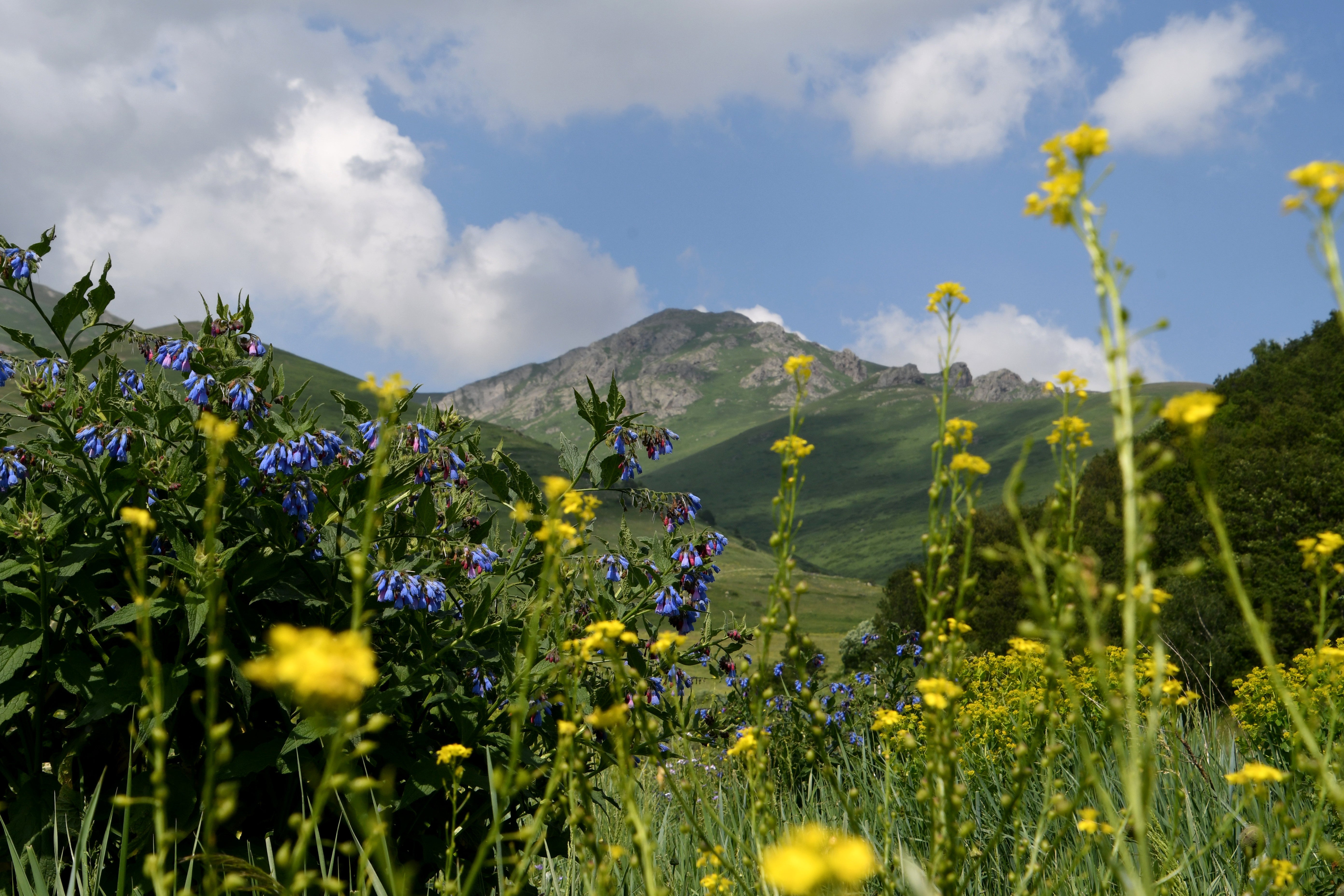 From Anapak to Aknaler: The Volcanic Origins of RARE Water